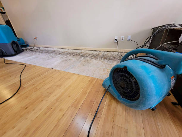 Professional Structural Drying technician working in Circle Pines, MN